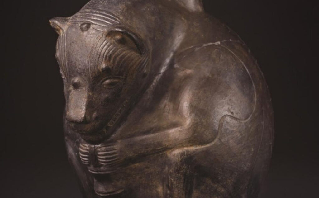 Arheologii au descoperit un câine fără păr, vechi de 1.200 de ani, într-un sit antic din Peru