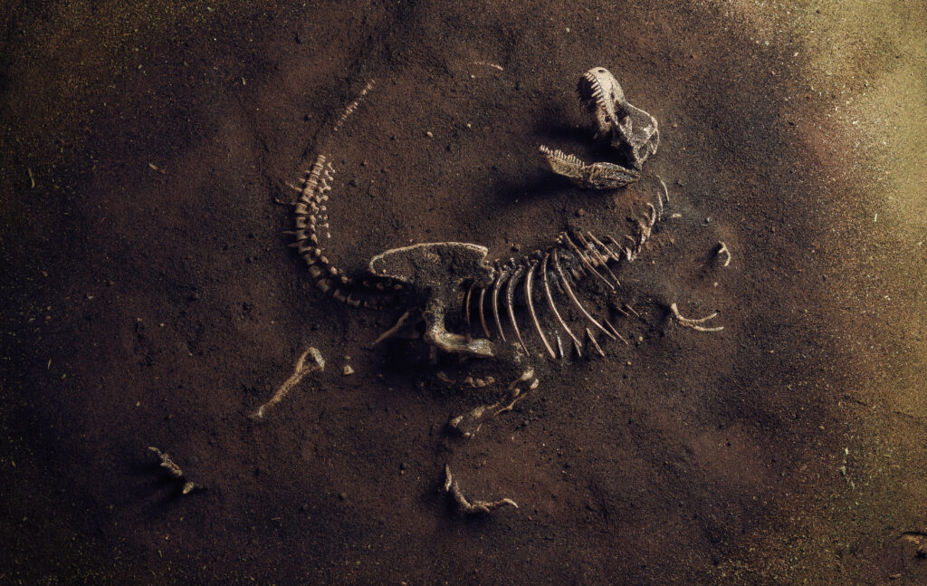 Un dinozaur uriaș a fost descoperit sub un șantier din Brazilia