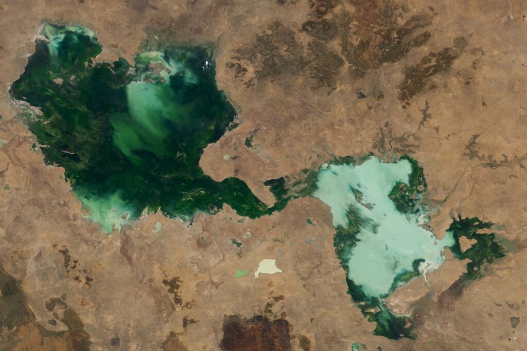 Două lacuri s-au unit în Australia după doi ani de ploi abundente
