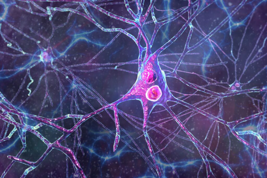 Țesut cerebral uman a fost transplantat la șoareci. Experimentul, condus de un român