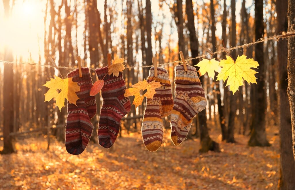 Toamnă cu temperaturi de vară. Prognoza meteo pentru următoarele săptămâni