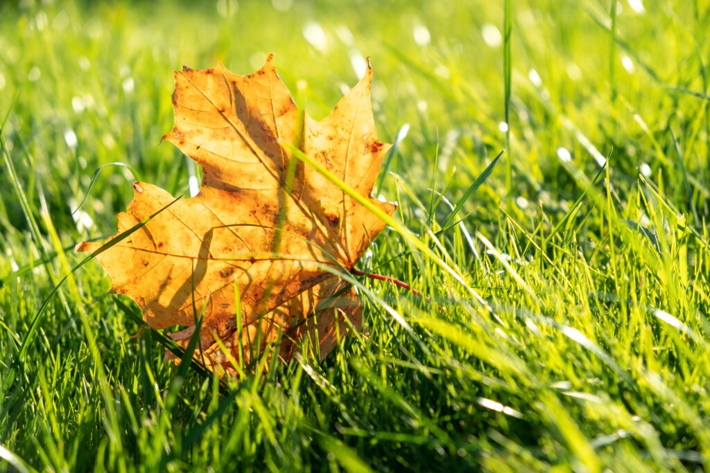 Cum va fi vremea în septembrie? Meteorologii anunță că nu scăpăm de căldură