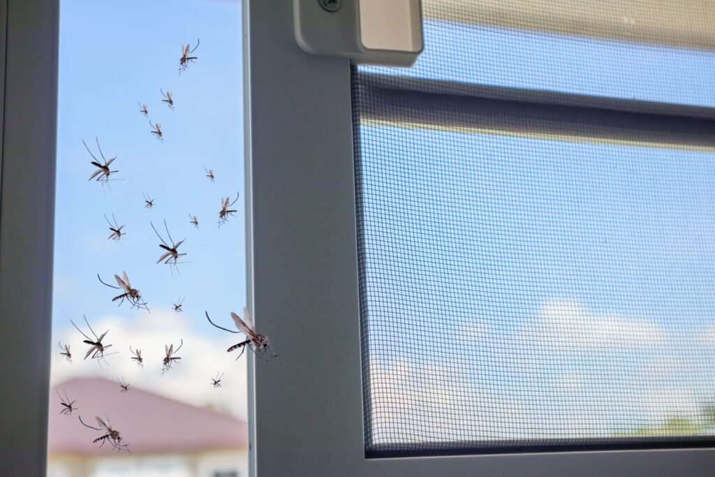 Virusul West Nile a făcut victime și în România. Cum ne putem feri?