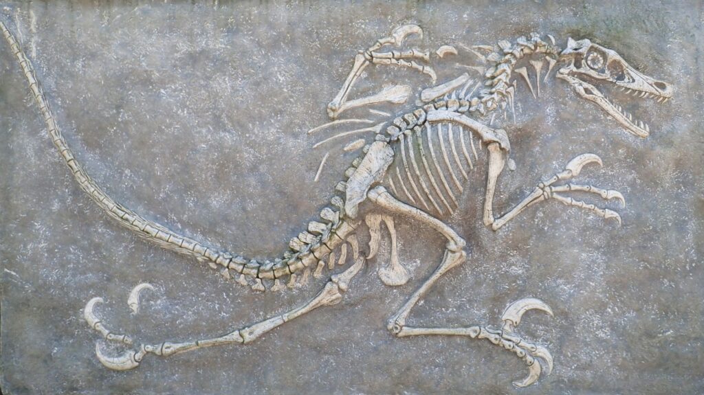 O nouă fosilă dezvăluie complexitatea evoluției timpurii a păsărilor