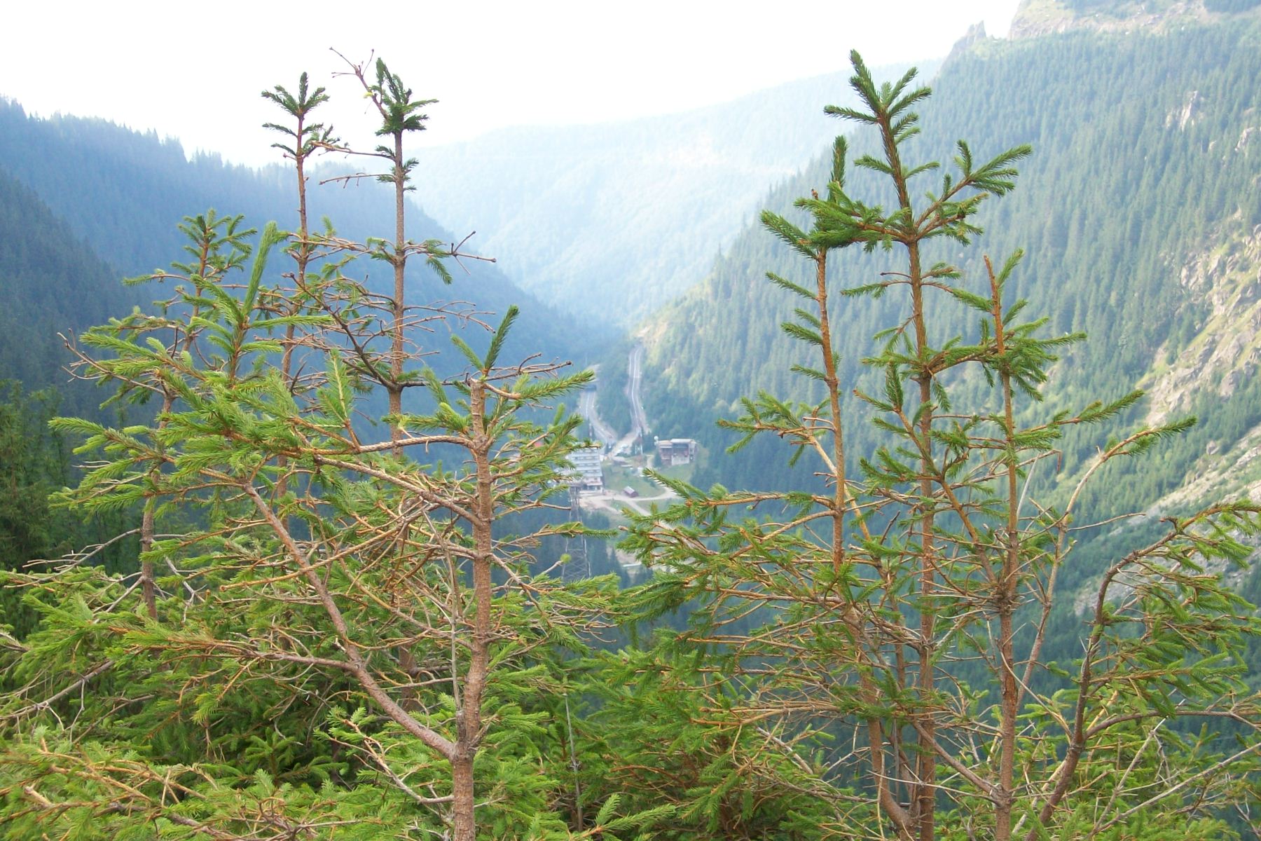 Transfagarasan-Muntii Fagarasului