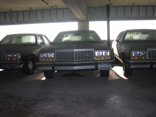 Cine sunt adevaratii Oameni in Negru?