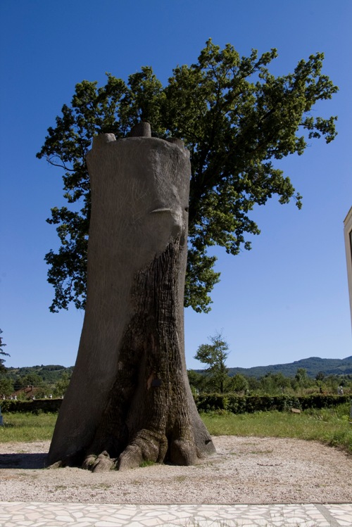 Avram Iancu – Povestea Vulturului Ranit