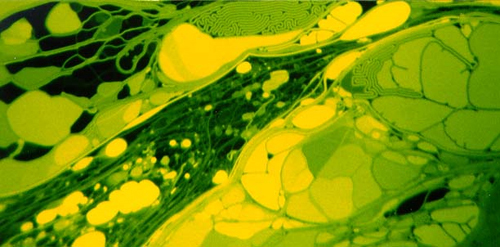 Suntem copiii extraterestrilor? Originea extraterestra a vietii pe Pamant (I)