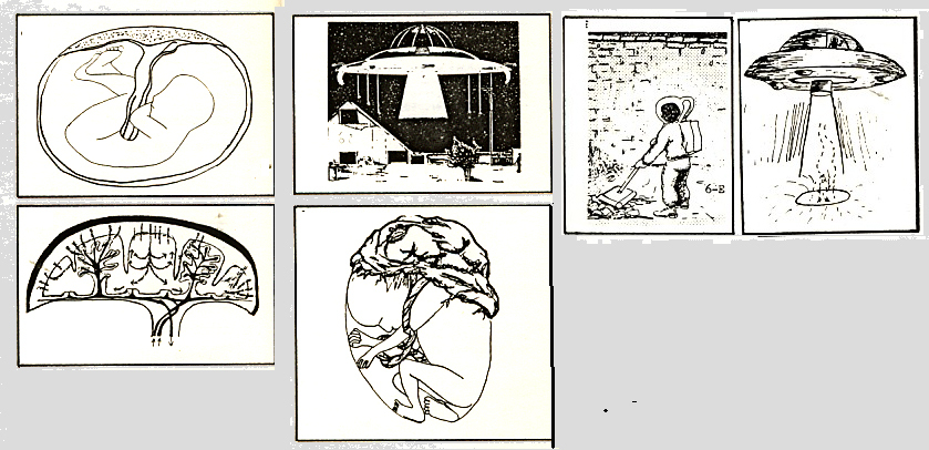 Rapiti de extraterestri: multe povesti si o teorie
