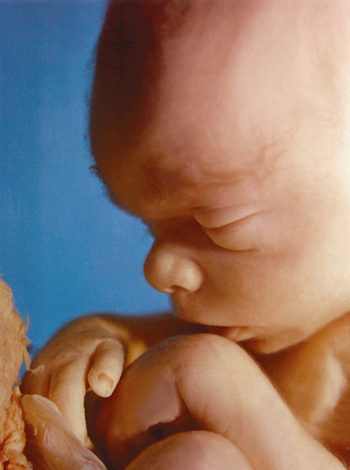 Rapiti de extraterestri: multe povesti si o teorie