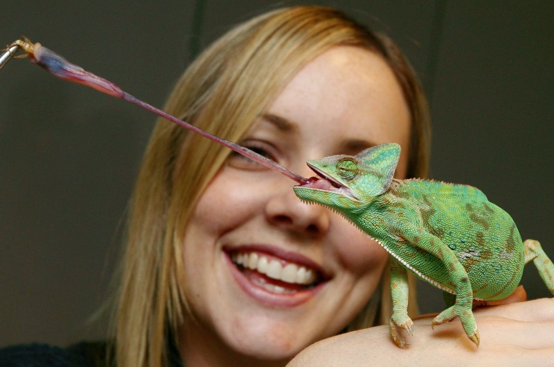 FOTO: William West/Mediafax Foto/AFP