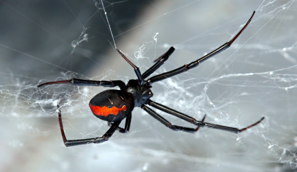 FOTO: Publimedia/Shutterstock