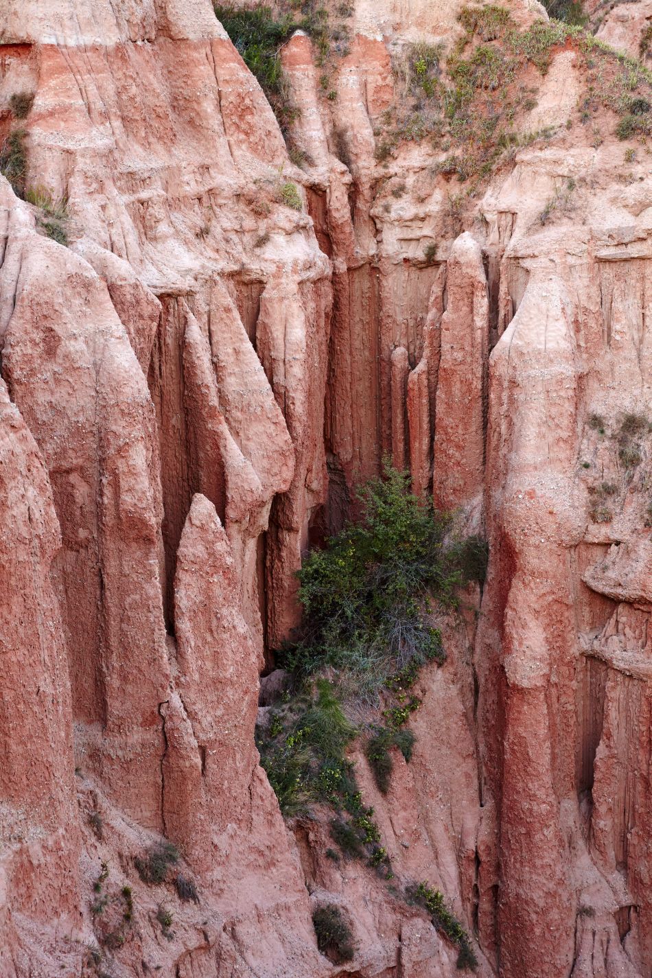 Impresionantele coloane de piatră ale Râpei Roşii.