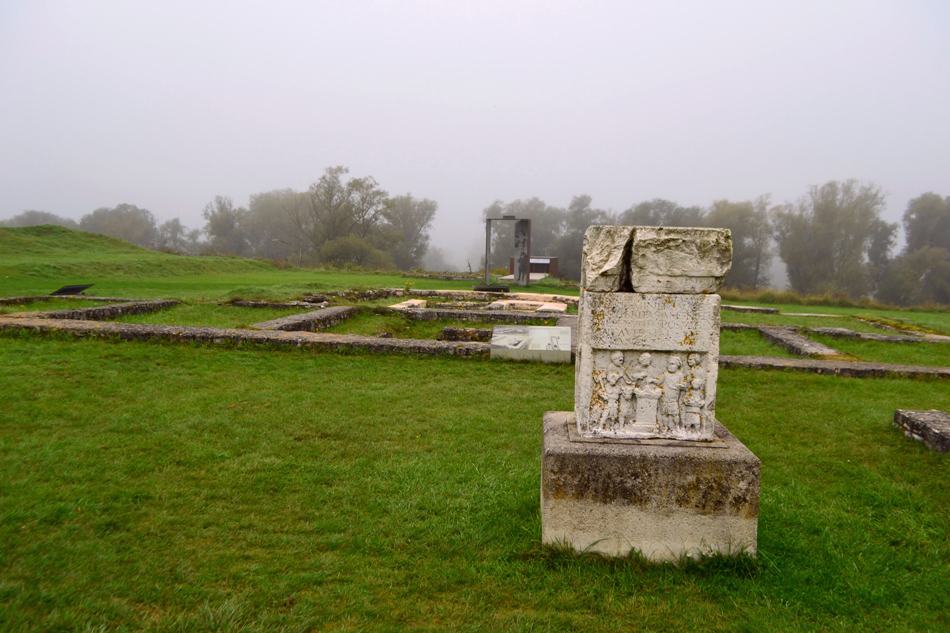 Abusina