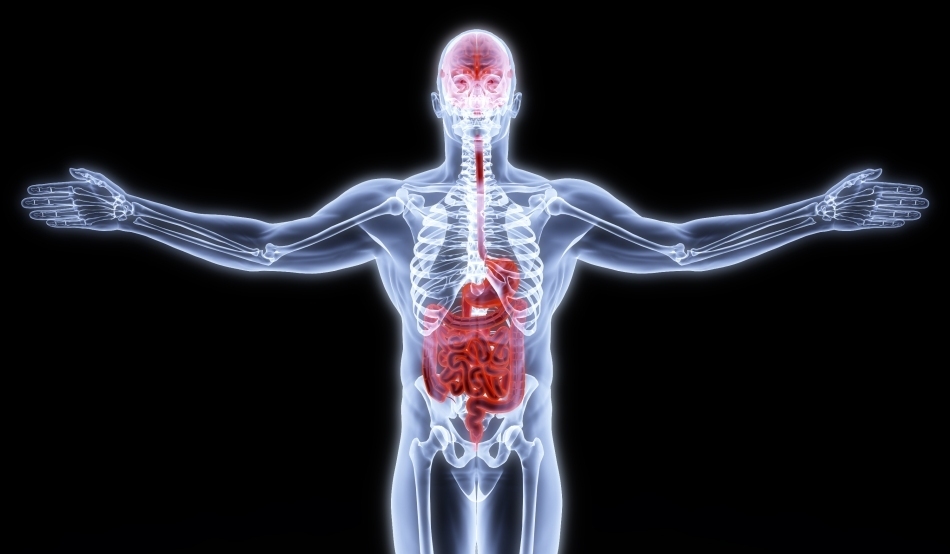 Sistemul digestiv este un ansamblu de o complexitate anatomică şi funcţională uluitoare - un adevărat 