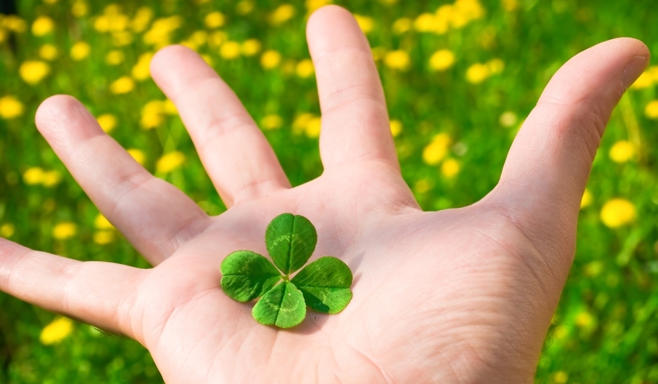 Norocul în viaţă poate fi influenţat conştient, susţine un specialist, care oferă şi cele mai bune recomandări în aceste sens.