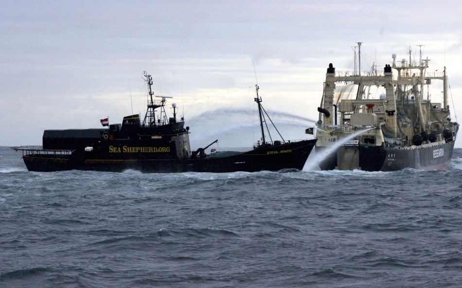 Paul Watson: păstorul biodiversităţii marine în lupta contra criminalilor