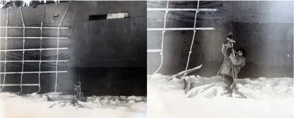 Paul Watson: păstorul biodiversităţii marine în lupta contra criminalilor