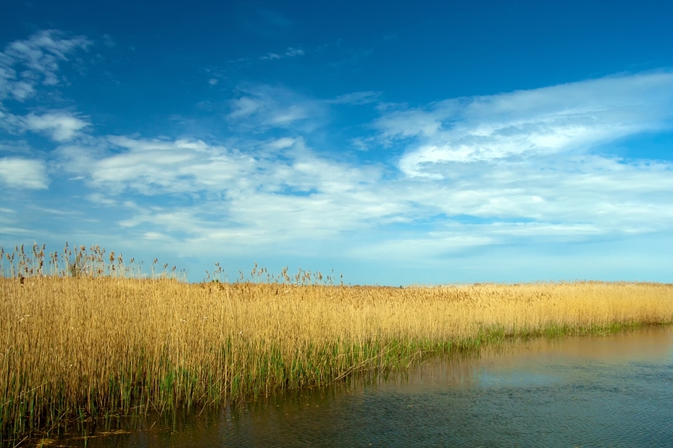 Imagine din Delta Dunării