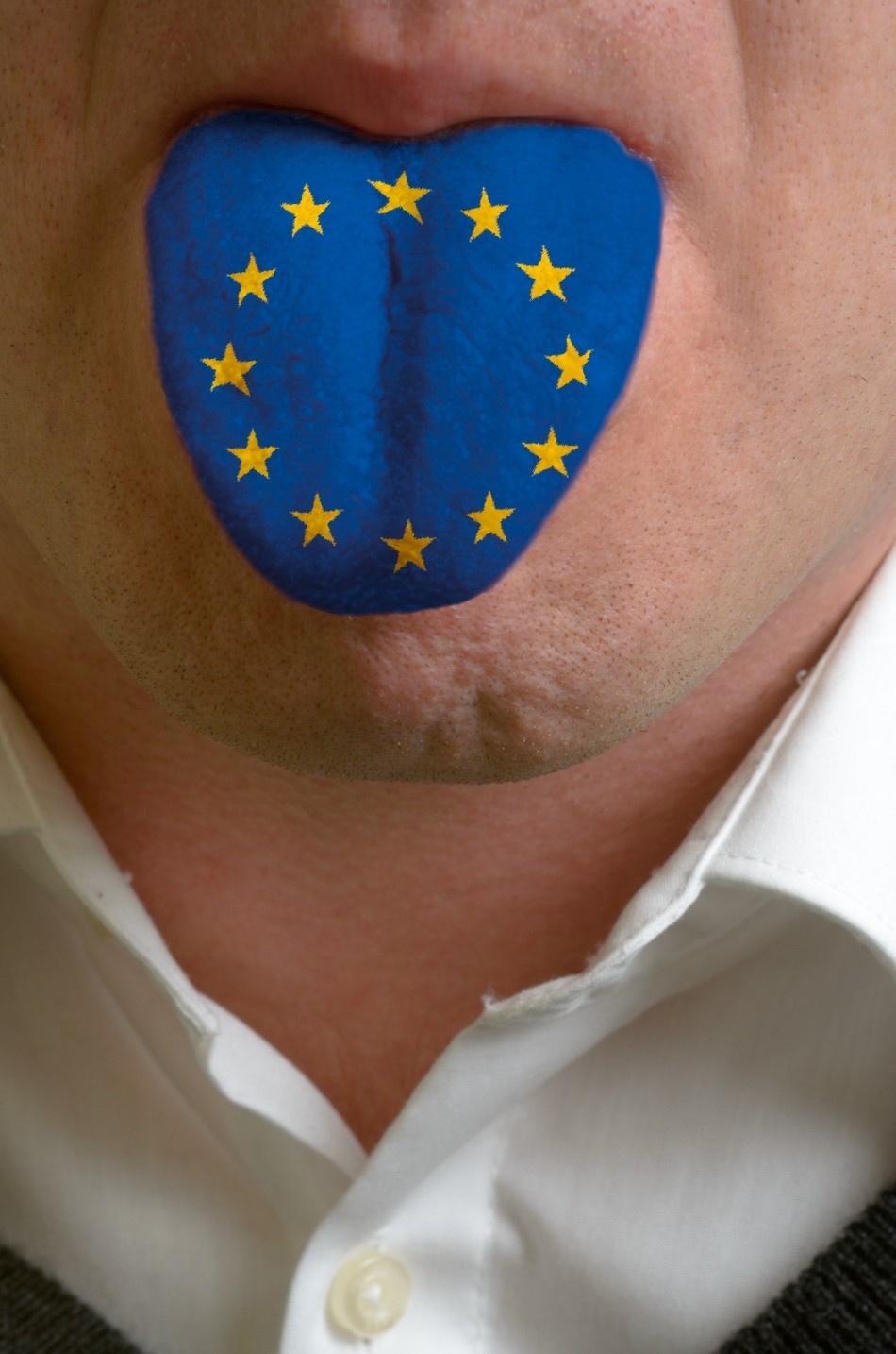 Limbile comnităţii europene