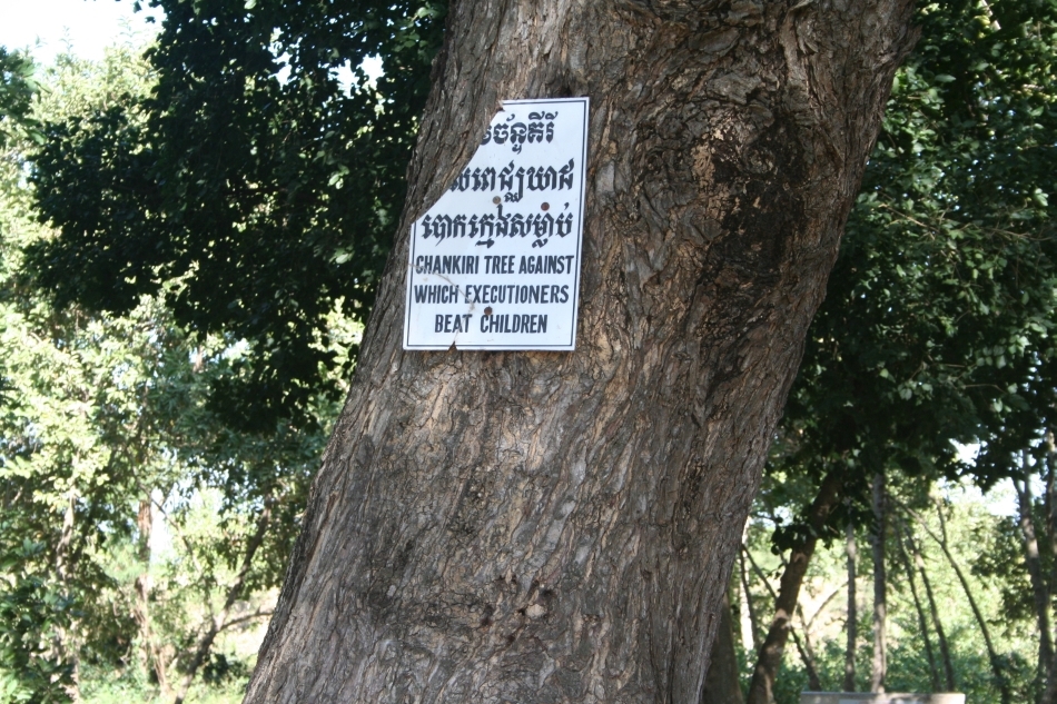 O placă comemorativă ataşată unui copac de care erau legaţi şi bătuţi copiii