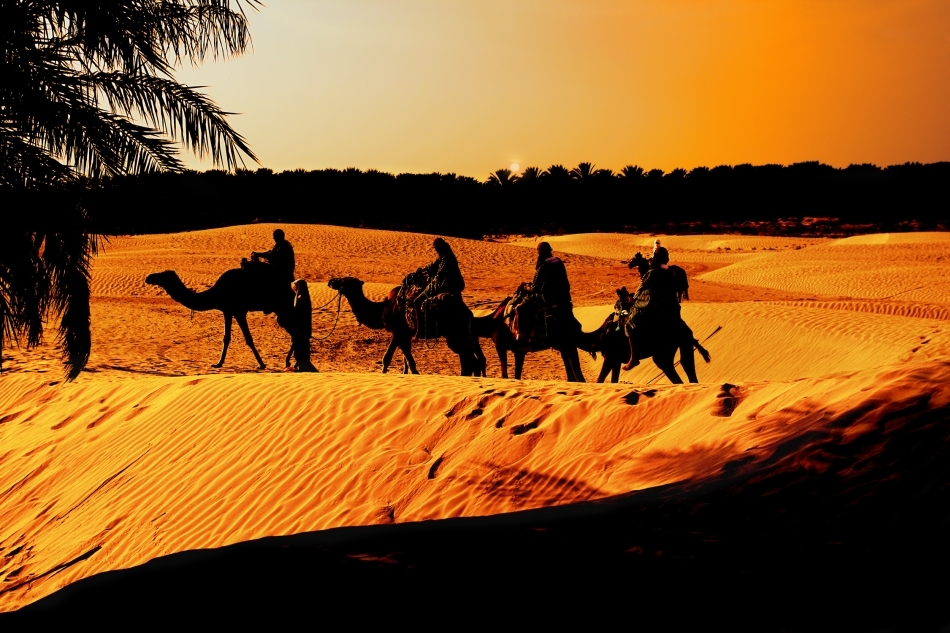 Coloană de cămile în deşert