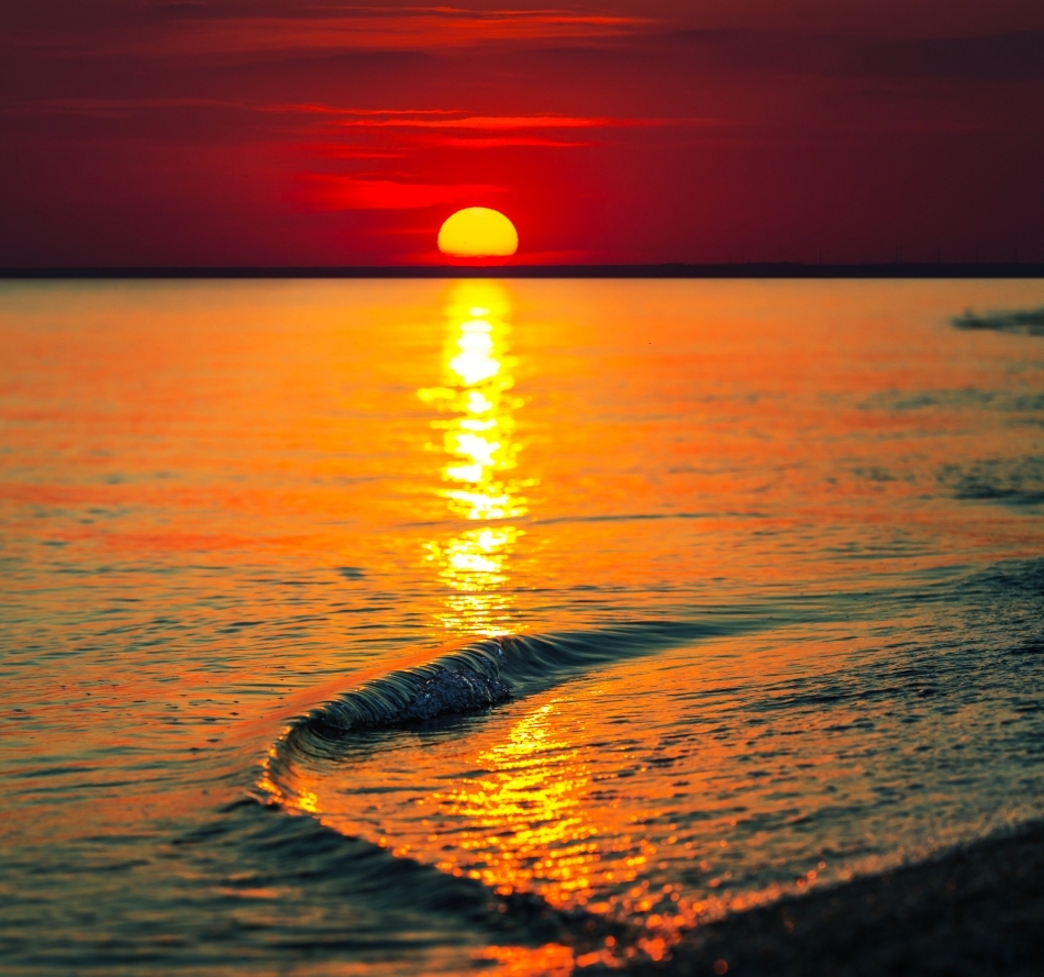 Focul lui Apollo: extraordinarele minuni ale unei zile obişnuite