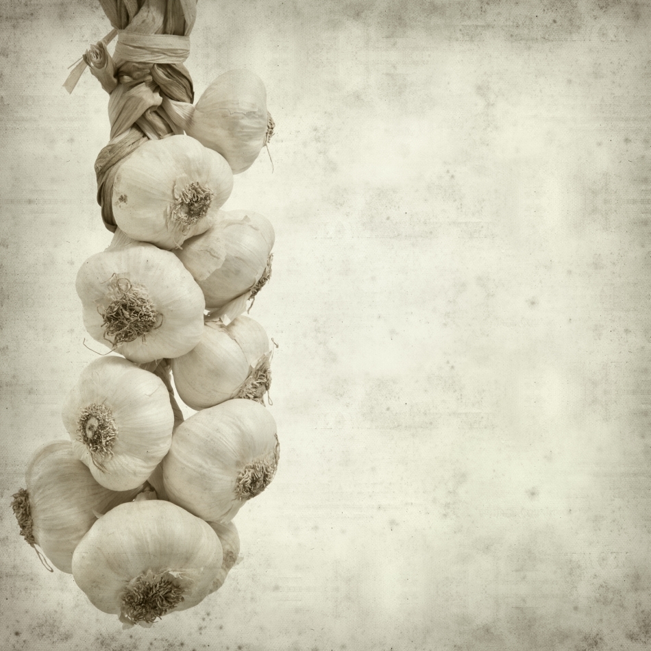 Ideea potrivit căreia usturoiul ne apără de vampiri a devenit şi mai populară după apariţia romanului lui Bram Stocker