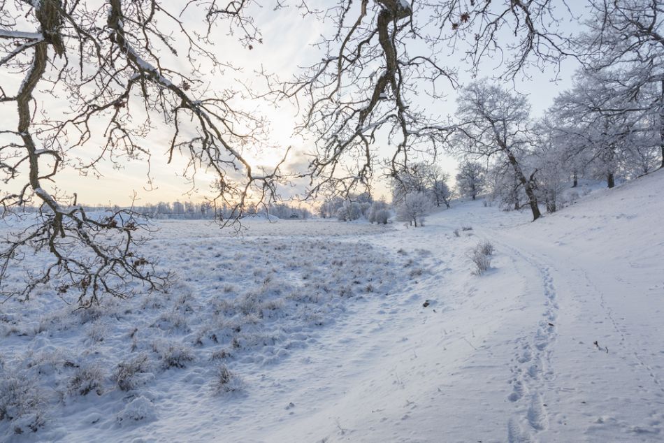 Iarnă pe mal de lac
