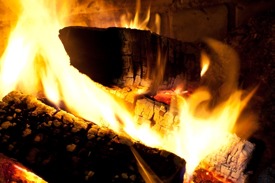 Buşteni arzând în sobă