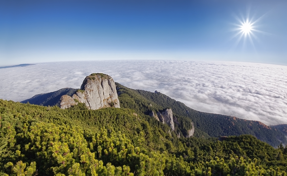 Dimineaţă în Munţii Carpaţi