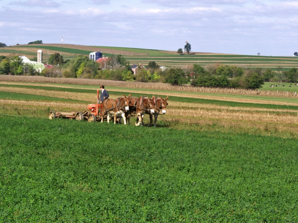 Aratul d eprimăvară la Amish