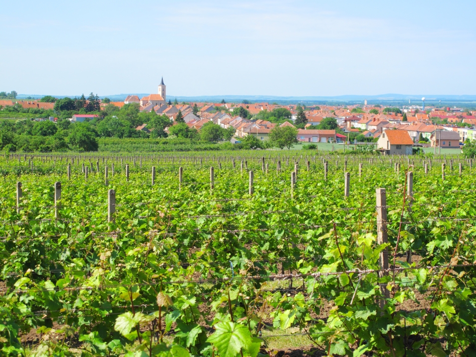 Regiunea Valassko din Moravia.