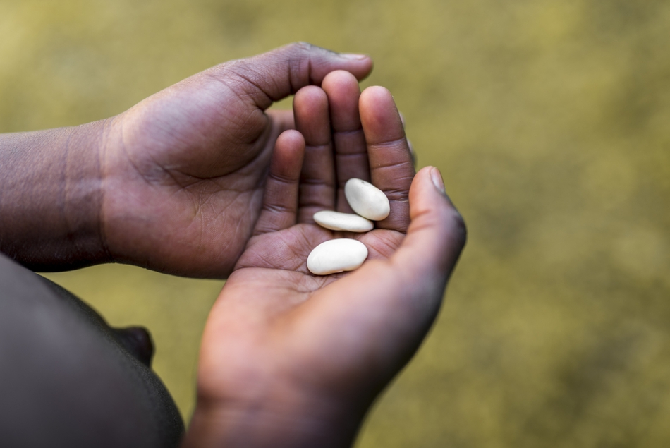 Foamea face victime.