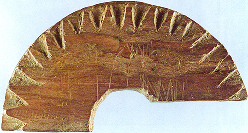 FOTO: New Scientist/Copyright Proceedings of the Royal Society A; Balazs Bernath; Alexandra Farkas; Denes Szaz; Miklos Blaho; Adam Egri; Andras Barta; Susanne Akesson; şi Gabor Horvath