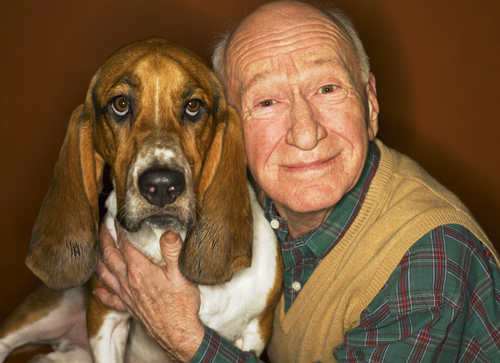 Cele mai ciudate 50 de legi din lume