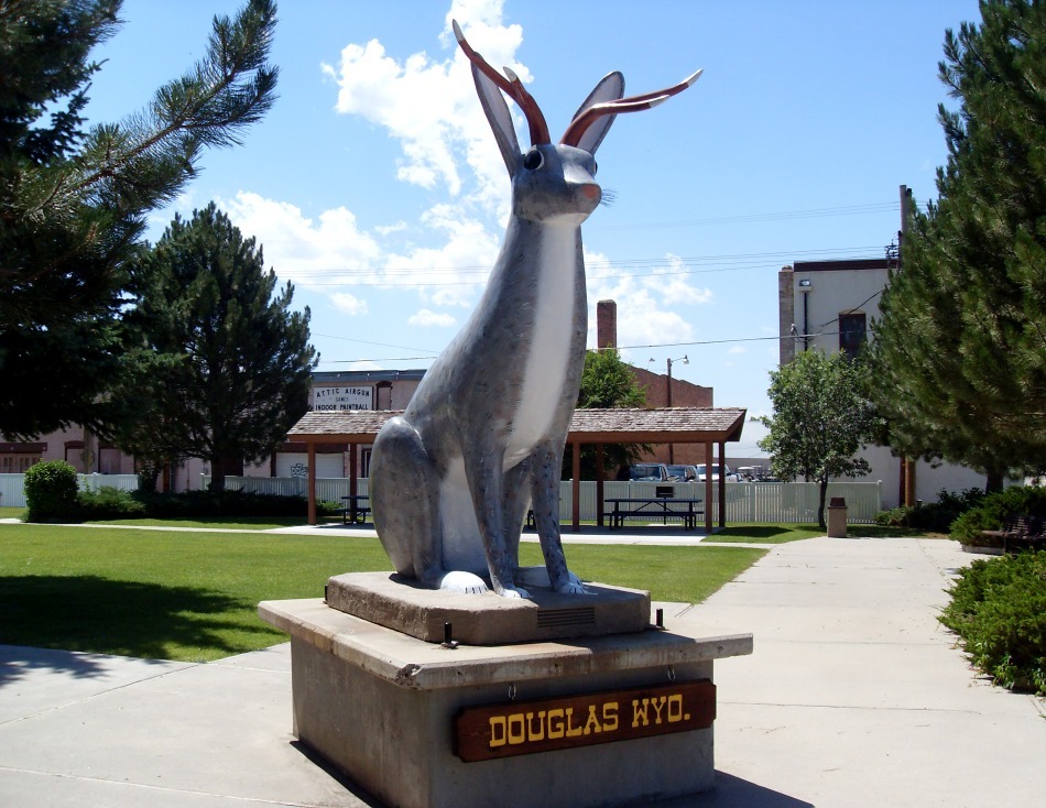 Iepurele cu coarne - un mit explicat