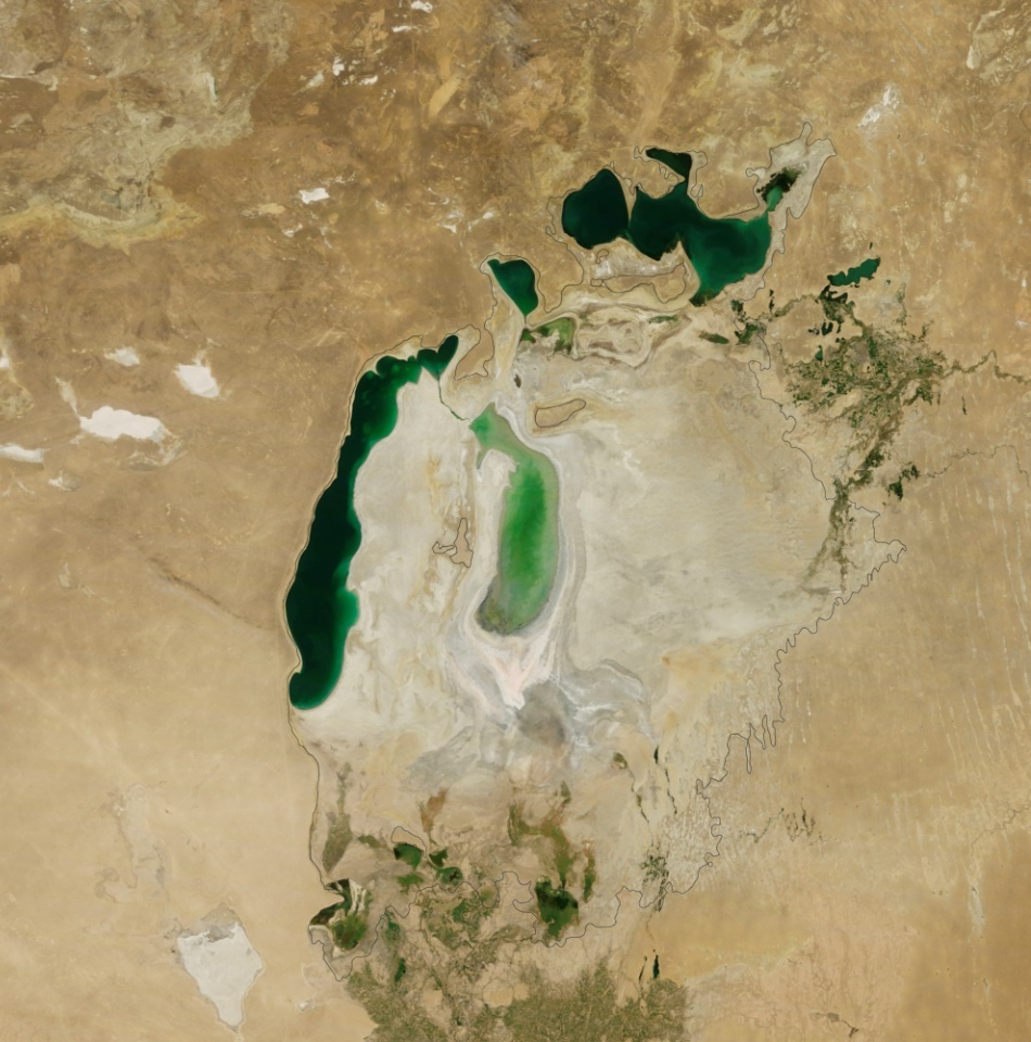 tarmurile micsorare ale Aralului