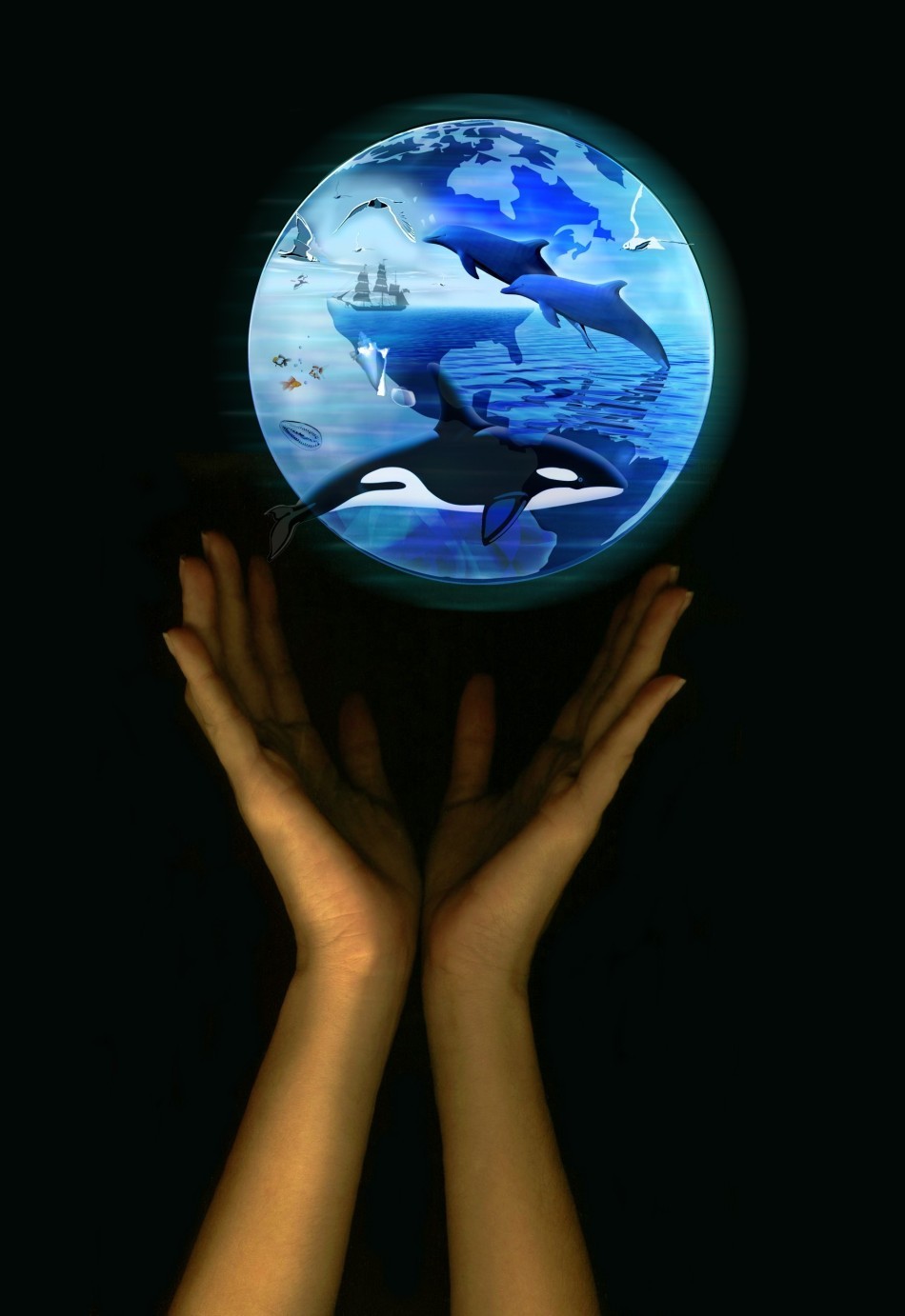  Îndemn pentru salvarea faunei marine