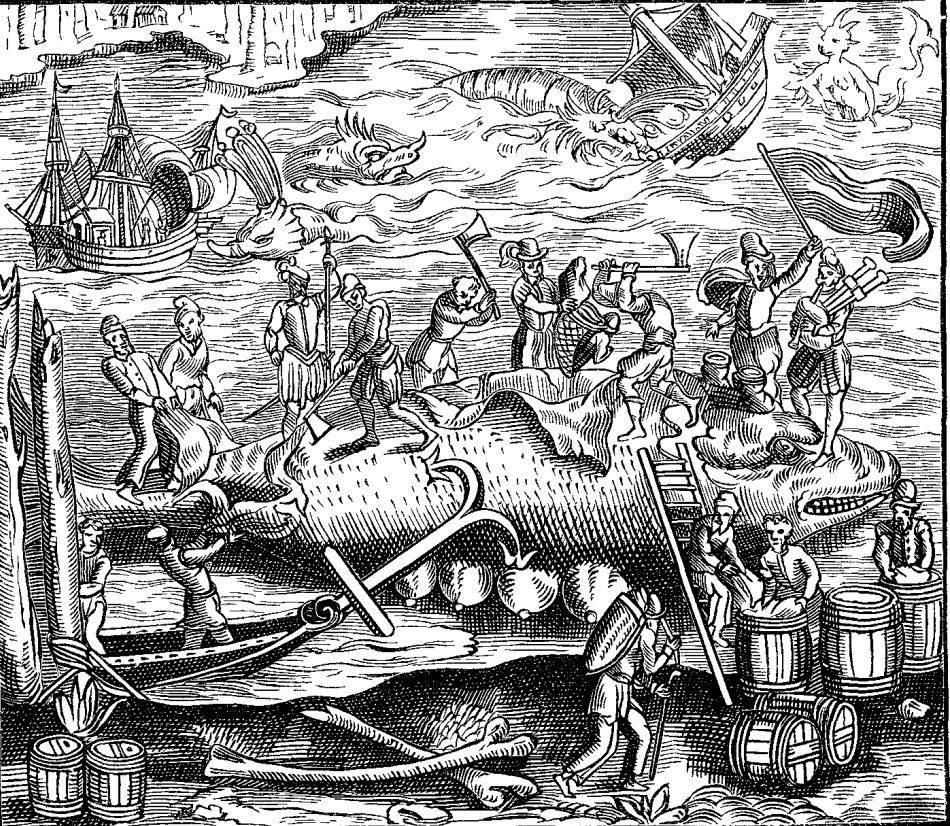  Desen de epocă cu procesarea unei carcase de balenă