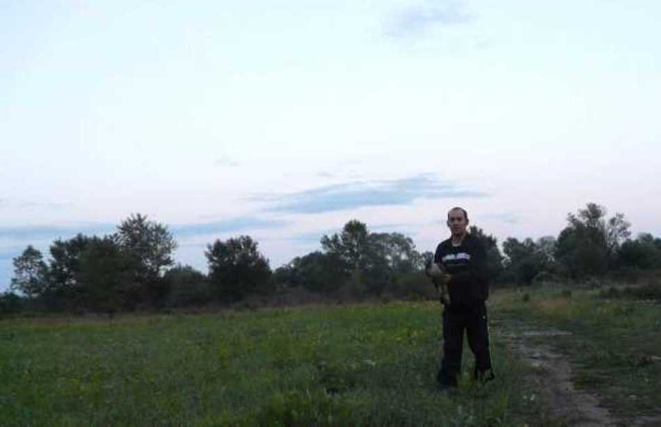 Dorin Carabeţ în momentul în care leiberează un uliu porumbar recuperat de la columbofili. Pasărea rănită a fost tratată şi îngrijită până cănd  a devenit capabilă să supravieţuiască singură