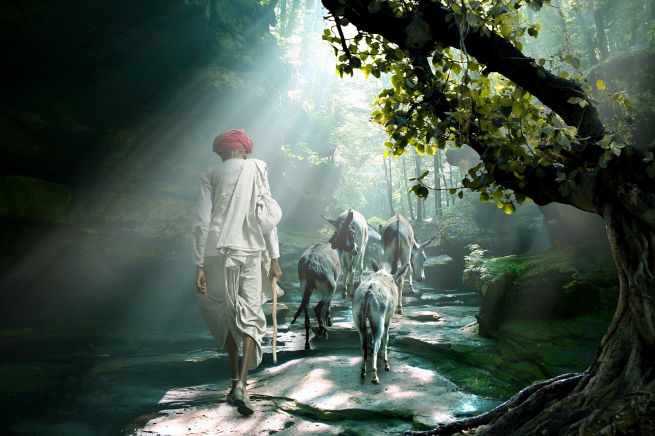 Sătean care intră în pădurea din Gir