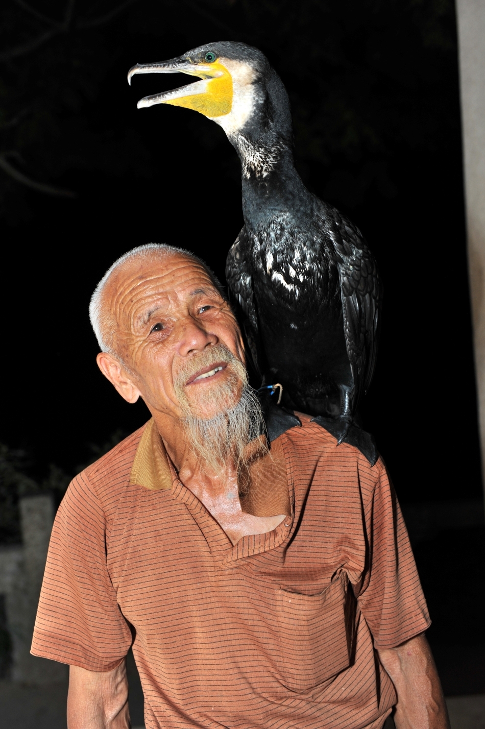 Bătrân maestru dresor de cormorani