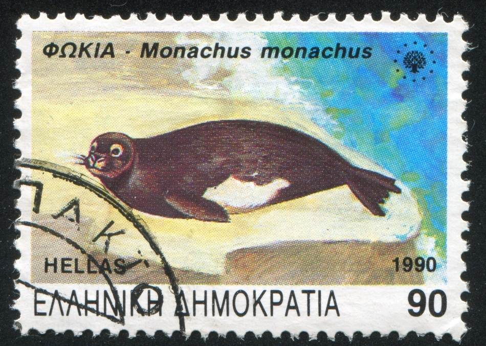 Marcă poştală grecească care reprezintă o focă călugăriţă