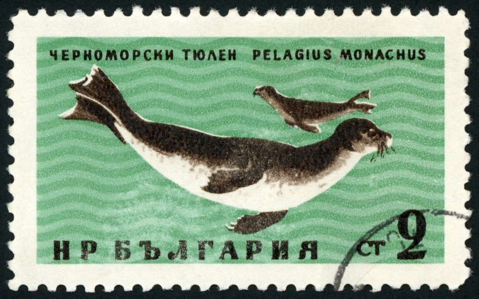Marcă poştală bulgărească ce reprezintă o foci călugăriţe
