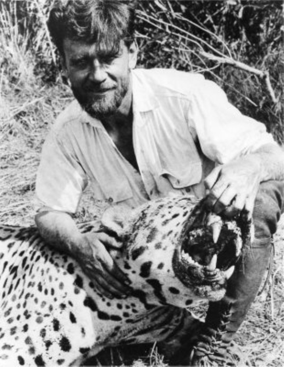 Colţii şi maxilarele lui Assassino