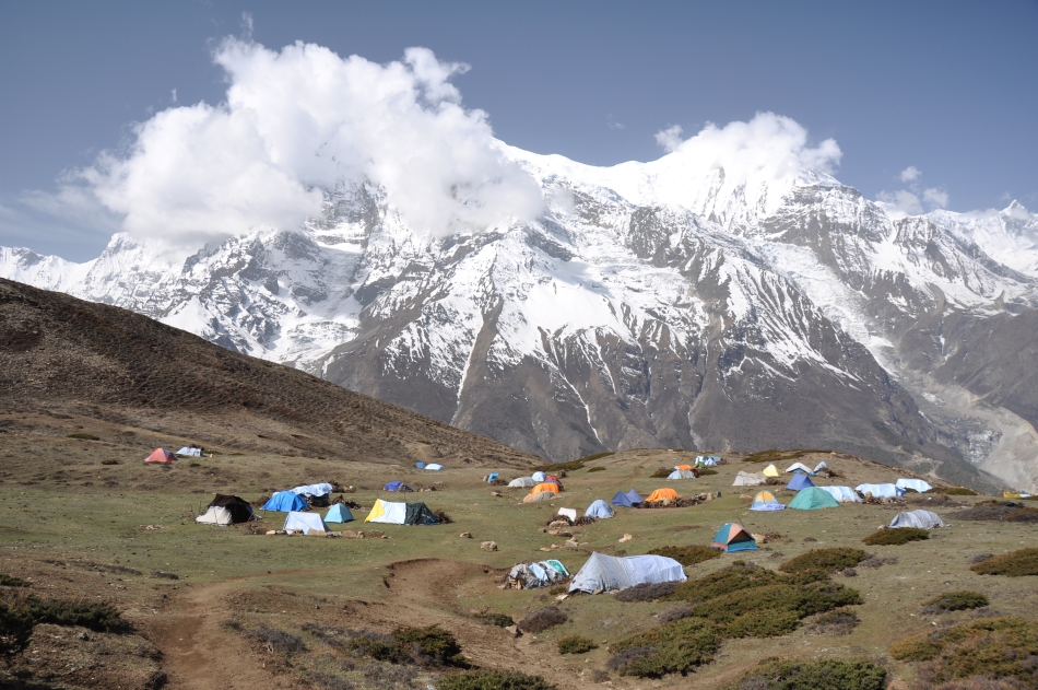Tabără a culegătorilor de Yarsagumba din Nepal.