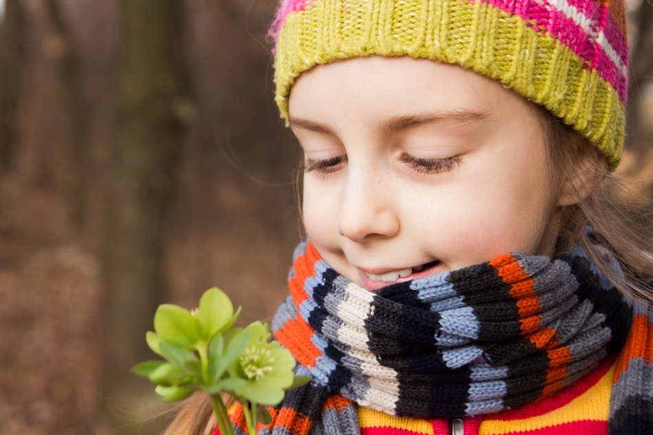Floare de spânz verde.