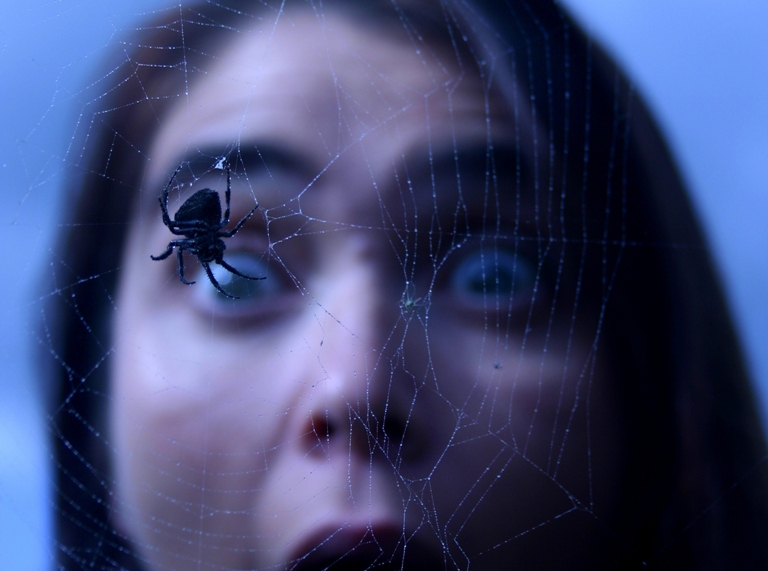 FOTO: Publimedia/Shutterstock