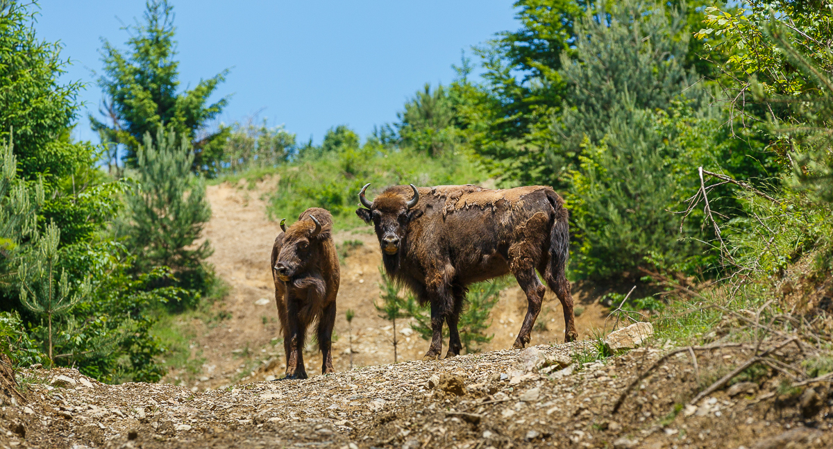 FOTO: Catalin Georgescu